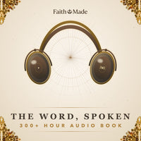 300+ Hour Audio Book